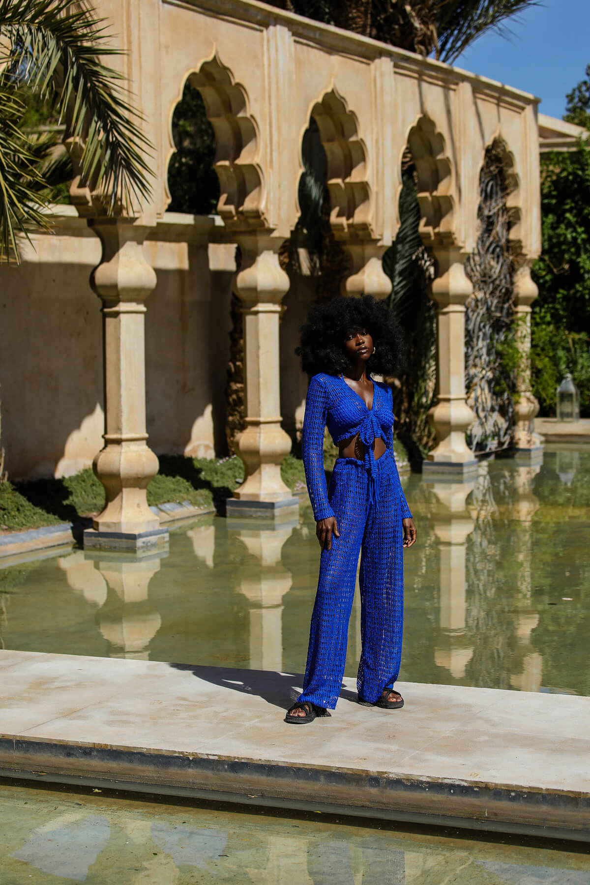 Majorelle Crop